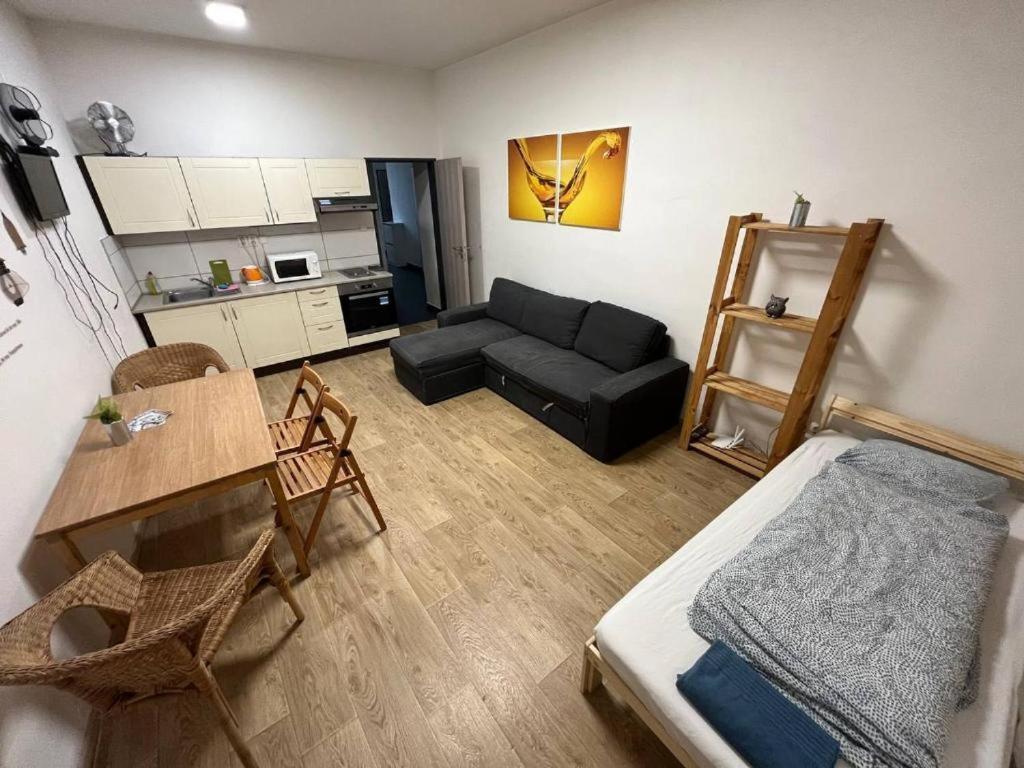 Apartments Near The Center With Privat Parking Brno Eksteriør billede